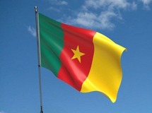 Cameroonian Flag